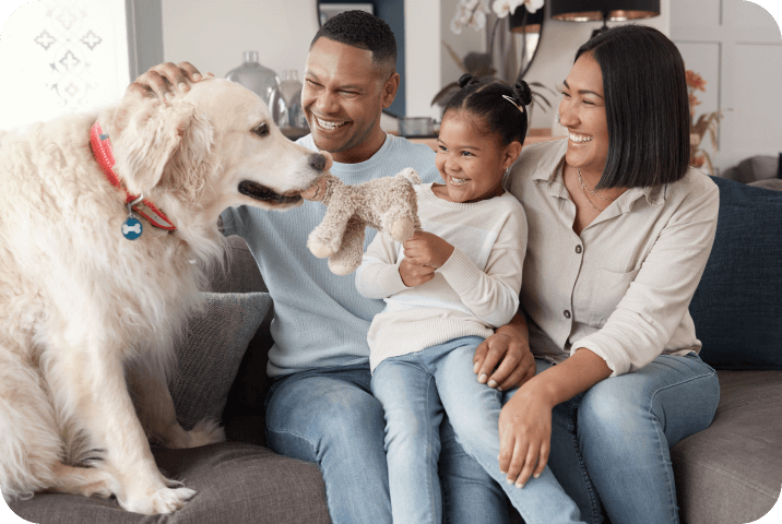 A dog and a child play with a stuffed animal while her parents watch.