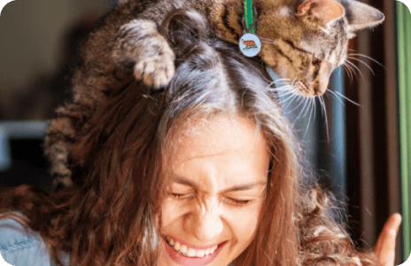 A woman is laughing while a cat climbs on her head